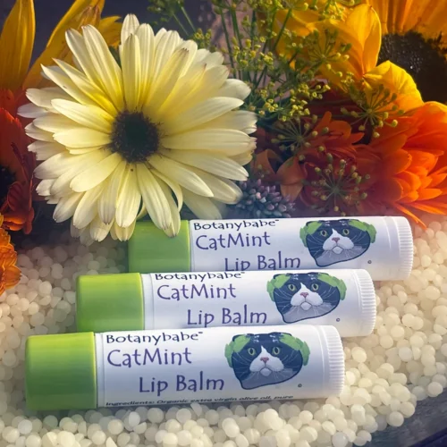 Catmint Lip Balm 3 Pack