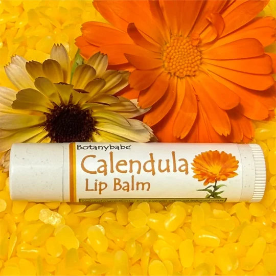 Calendula Single