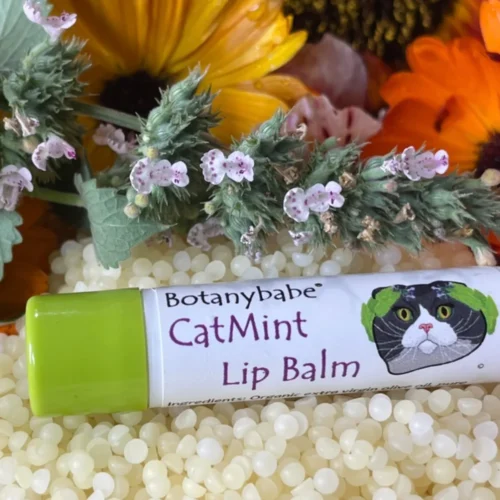 Catmint Lip Balm