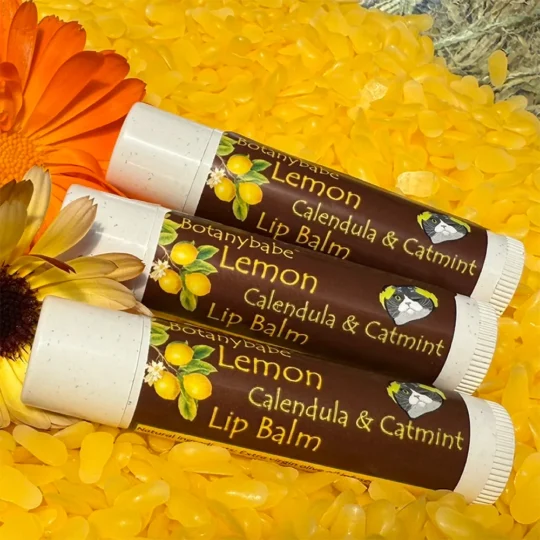 Lemon Calendula 3 pack